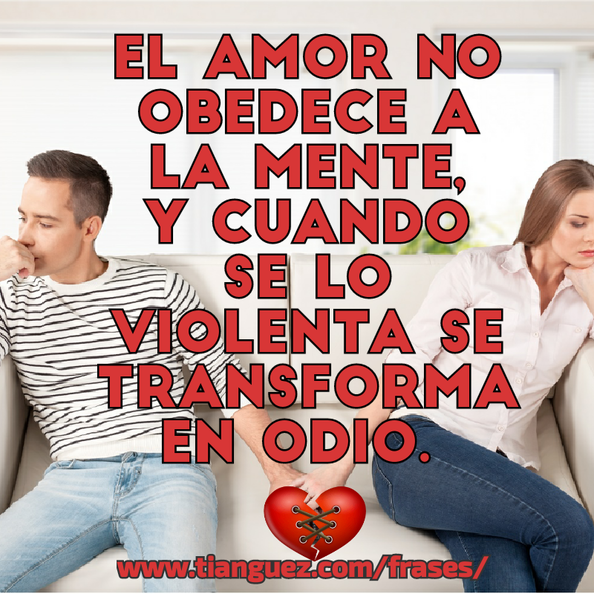 el_amor_no_odece.png