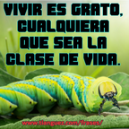 Vivir es grato