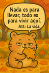 todo es aqui